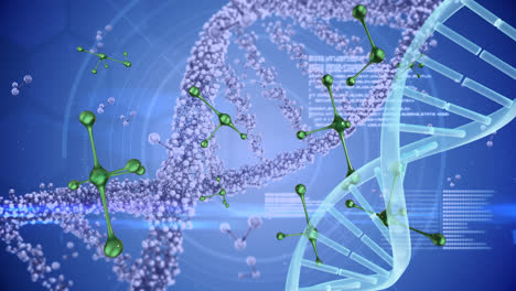 Animation-of-dna-strand-and-green-molecules-over-data-processing
