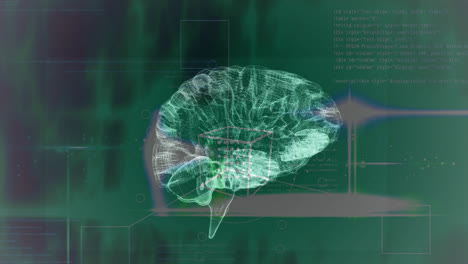 Animation-of-brain-rotating-over-green-background