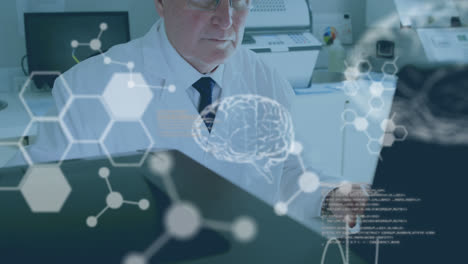 Animation-of-data-processing,-digital-human-brain-model-and-molecules-over-doctor-using-laptop
