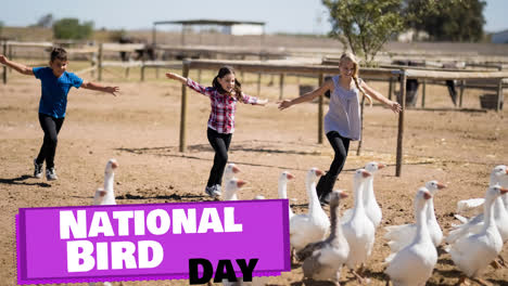 Animation-of-national-bird-day-text-on-purple-over-mother,-son-and-daughter-chasing-geese-on-farm