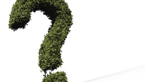 Animation-of-topiary-question-mark-on-white-background
