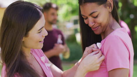 Two-happy-diverse-women-one-pinning-breast-cancer-ribbon-to-t-shirt,-talking-and-laughing-in-park
