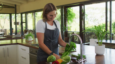 Happy-caucasian-pregnant-woman-wearing-apron-and-washing-vegetables-in-kitchen