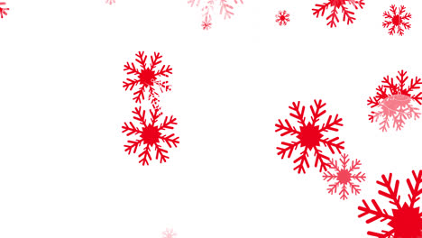 Digitale-Animation-Mehrerer-Roter-Schneeflocken-Symbole,-Die-Vor-Weißem-Hintergrund-Fallen