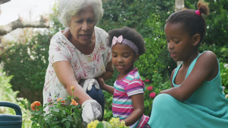 Glückliche-ältere-Afroamerikanische-Großmutter-Mit-Enkelinnen,-Die-Im-Garten-Arbeiten