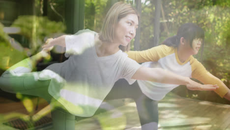 Composite-of-two-happy-asian-women-practicing-yoga-outdoors,-and-sunlight-on-plants