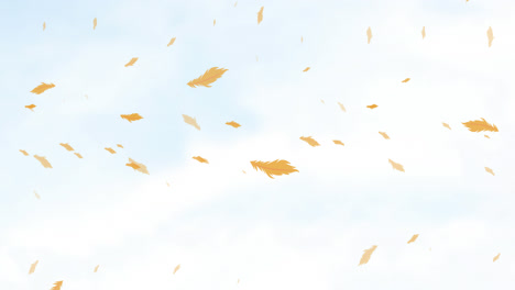 Animation-of-orange-bird-feathers-falling-over-cloudy-blue-sky