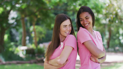 Portrait-of-two-smiling-diverse-women-in-pink-t-shirts-and-cancer-ribbons,-back-to-back-in-park