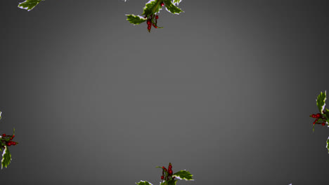 Decorative-with-spruce-branches,-holly-and-red-berries-against-grey-background