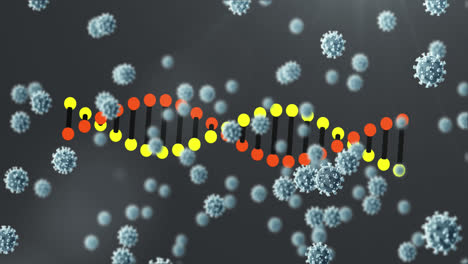 Animation-Von-Covid-19-Zellen-Und-DNA-Strangspinnen
