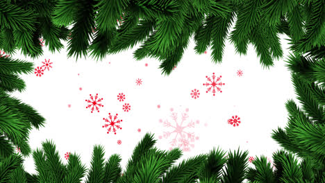 Animation-of-fir-tree-branches-over-christmas-red-snowflakes