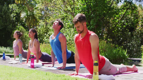 Vielfältige-Männliche-Und-Weibliche-Gruppe-Praktiziert-Yoga-Stretching-Auf-Matten-Im-Sonnigen-Park