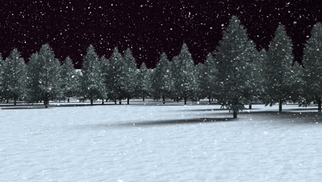 Snow-falling-over-multiple-trees-on-winter-landscape-against-black-background