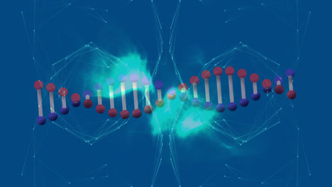 Animation-of-dna-strand-spinning-over-globe-of-network-of-connections-on-blue-background