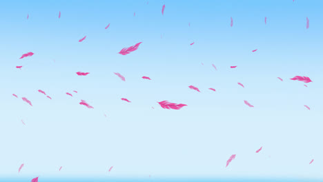 Animation-of-pink-bird-feathers-falling-over-blue-sky