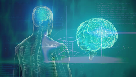 Animation-Des-Gehirns-Und-Des-Menschlichen-Körpers,-Das-Auf-Grünem-Hintergrund-Rotiert