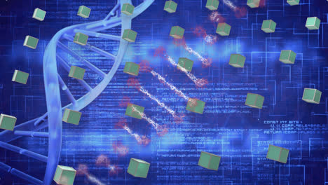 Animation-of-dna-strands-and-rows-of-green-cubes-over-data-processing