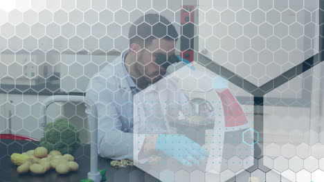 Animation-of-hexagons-over-male-doctor-working-in-lab