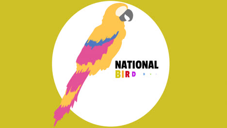 Animation-Des-Textes-Zum-Nationalen-Vogeltag-Und-Des-Papageiensymbols-Auf-Grünem-Hintergrund