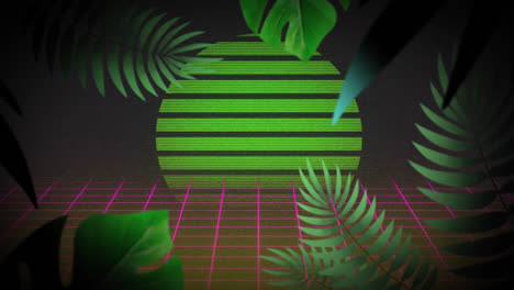 Animation-of-green-plants-over-grid-and-digital-sun