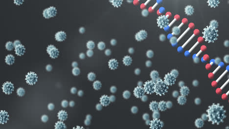Animation-of-covid-19-cells-and-dna-strand-spinning