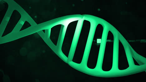 Makroanimation-Eines-Sich-Drehenden-Grünen-3D-DNA-Strangs