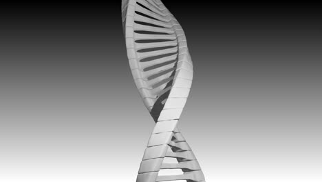 Animation-of-macro-of-grey-3d-dna-strand-spinning