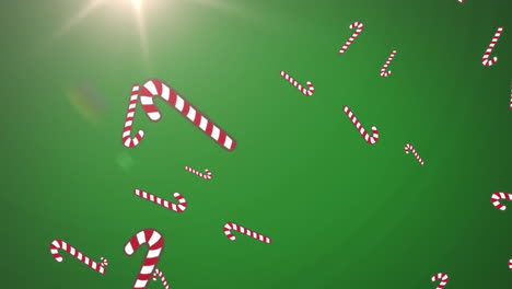 Animation-of-christmas-sugar-canes-falling-over-green-background