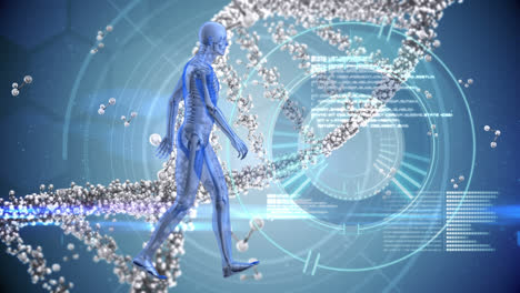 Animation-of-scope-scanning,-human-body,-dna-strand-and-data-processing