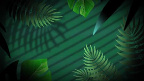 Animation-Von-Dschungelpflanzen-über-Blättern-Und-Fensterschatten-Auf-Grünem-Hintergrund