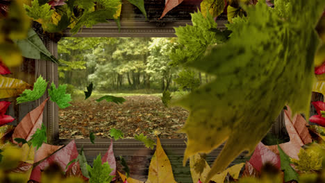 Animation-of-forest-and-falling-leaves-in-leaf-frame