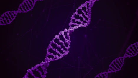 Animation-of-macro-of-purple-3d-dna-strand-spinning