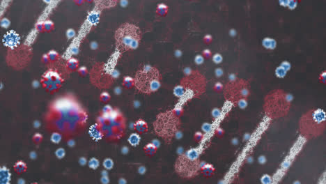 Animation-Von-Covid-19-Zellen-Und-DNA-Strangspinnen