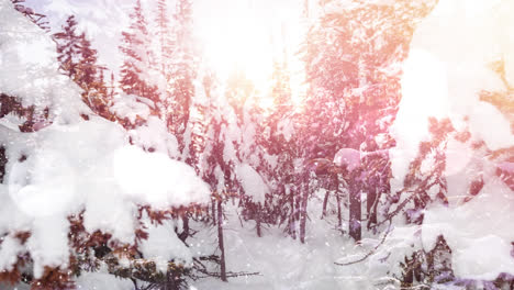 Animation-Von-Fallendem-Schnee-Und-Leuchtenden-Lichtpunkten-über-Tannen-In-Einer-Winterlandschaft