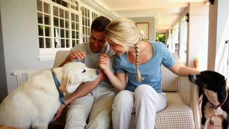 Happy-couple-petting-their-dogs-sitting-on-the-veranda