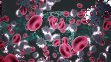 Animation-of-covid-19-and-red-blood-cells-with-human-brain-spinning