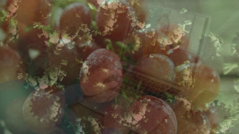 Animation-Von-Viruszellen-über-Weintrauben