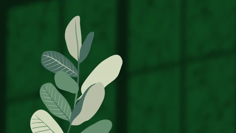 Animation-Von-Pflanzen-über-Blättern-Und-Fensterschatten-Auf-Grünem-Hintergrund