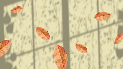 Animation-Von-Herbstblättern,-Die-über-Dem-Fensterschatten-Auf-Gelbem-Hintergrund-Schweben