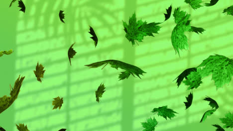 Animation-Von-Blättern,-Die-über-Blättern-Schweben,-Regen-Und-Fensterschatten-Auf-Grünem-Hintergrund