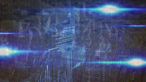 Animation-of-data-processing-and-light-trails-over-grass