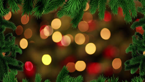 Animation-of-fir-trees-at-christmas-over-light-spots