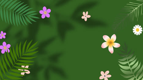 Animation-Von-Blumen-über-Blättern-Und-Fensterschatten-Auf-Grünem-Hintergrund