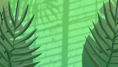 Animation-of-plants-over-leaves-and-window-shadow-on-green-background