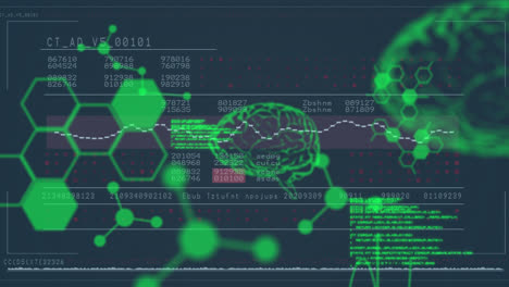 Animation-Der-Wissenschaftlichen-Datenverarbeitung,-Oszilloskop-Scan-Des-Menschlichen-Gehirns