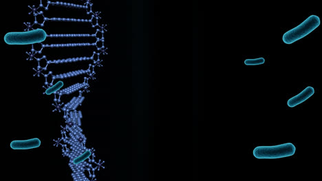 Animation-Von-Zellen-über-Einem-DNA-Strang-Auf-Schwarzem-Hintergrund