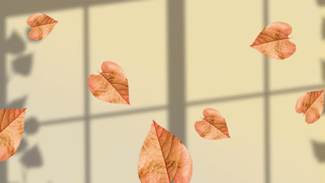 Animation-of-fall-leaves-floating-over-window-shadow-on-yellow-background