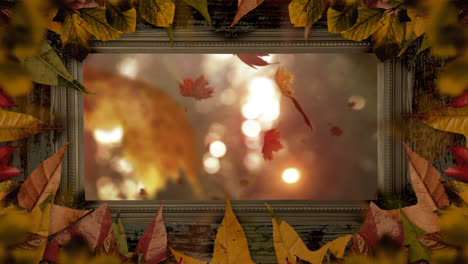 Animation-of-spots-of-light-and-falling-leaves-in-leaf-frame