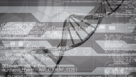 Dna-structure-spinning-over-digital-interface-with-data-processing-against-grey-background