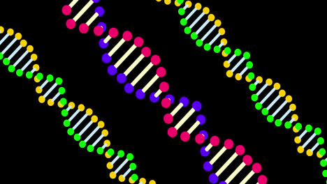 Animation-of-colorful-dna-rotating-on-black-background